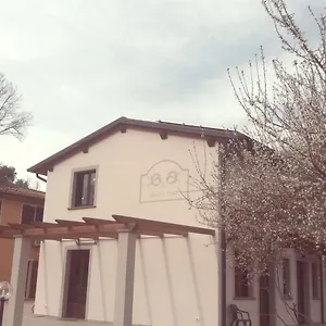 Pane E Rose San Miniato